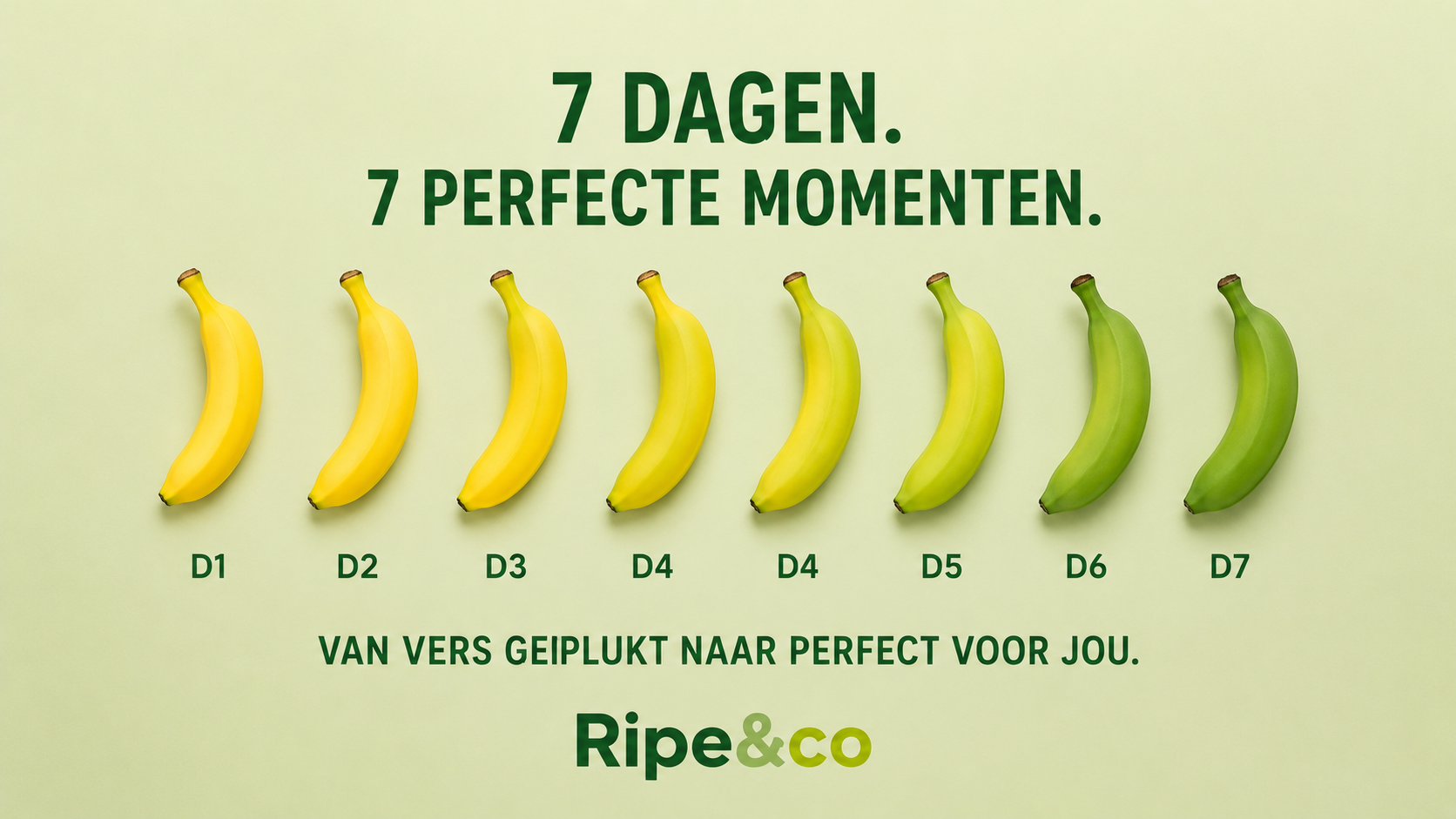 7 dagen 7 perfecte momenten