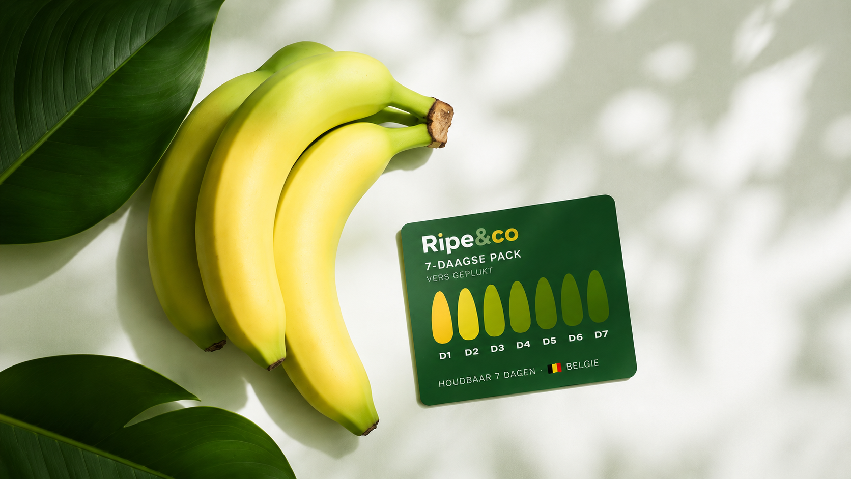 Ripe & Co label detail